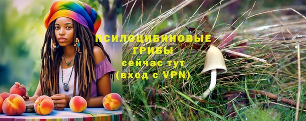 молекула духа Володарск