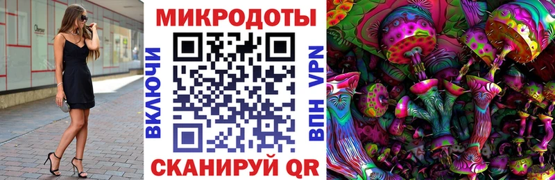 Галлюциногенные грибы Psilocybe  Кяхта 